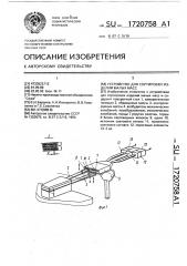 Устройство для сортировки изделий малых масс (патент 1720758)