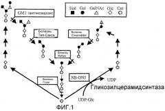 Производные пиперидина, способ их получения и фармацевтическая композиция на их основе (патент 2279425)