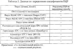 Синтетические олигонуклеотидные праймеры и способ выявления рнк атипичного пестивируса крупного рогатого скота (патент 2607025)