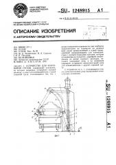 Устройство для кантования грузов (патент 1248915)