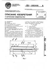 Сборная червячная фреза (патент 1093446)