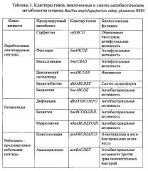 Штамм бактерий bacillus amyloliquefaciens subsp. plantarum bs89 в качестве средства повышения продуктивности растений и их защиты от болезней (патент 2599416)