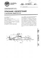 Линия для послеуборочной обработки кочанной капусты (патент 1274675)