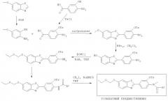 Способ фторирования анилидных производных и фторированные производные бензотиазола в качестве in vivo визуализирующих агентов (патент 2419601)