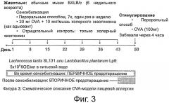 Пищевая композиция, содержащая штаммы lactococcus и уменьшающая сиптомы аллергии, в частности у младенцев и детей (патент 2575072)