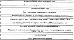 Штамм бактериофага bacillus anthracis r/d, используемый для получения препарата для диагностики сибиреязвенной инфекции, жидкий препарат для диагностики сибиреязвенной инфекции и препарат для диагностики сибиреязвенной инфекции (патент 2351650)