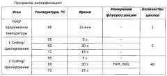 Набор реагентов для выявления днк neisseria gonorrhoeae и его применение (патент 2595398)