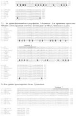 Способ видовой идентификации лактобацилл l.casei/paracasei, l.fermentum, l.plantarum и l.rhamnosus (патент 2508406)