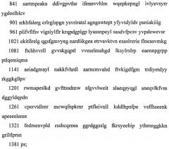 Способ лечения сахарного диабета и комбинированное лекарственное средство (патент 2565401)