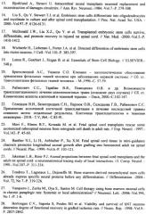 Способ тканевой инженерии спинного мозга после его анатомического разрыва (патент 2489176)