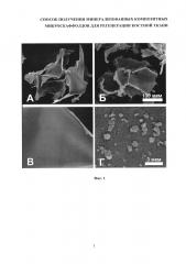 Способ получения минерализованных композитных микроскаффолдов для регенерации костной ткани (патент 2660558)