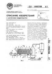 Способ очистки лука и установка для его осуществления (патент 1405789)