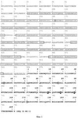 Варианты плазминогена и плазмина (патент 2564131)