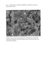 Способ получения сверхвысокомолекулярного полиэтилена, модифицированного наноразмерными частицами оксида титана (патент 2590556)