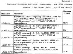 Синтетические транзитные пептиды хлоропласта из brassica (патент 2636035)