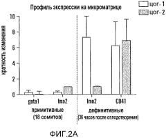 Способ стимулирования экспансии гематопоэтических стволовых клеток (патент 2493252)