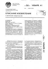 Устройство для размагничивания кинескопа (патент 1656698)