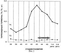 Способ подращивания личинок осетровых рыб (патент 2260943)