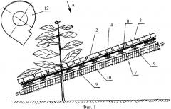 Аппарат для отделения листьев табака (патент 2335117)
