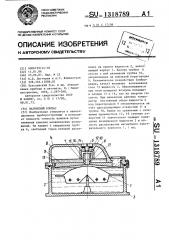 Магнитный компас (патент 1318789)