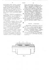 Фиксирующее устройство (патент 792004)