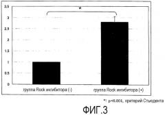 Средство для содействия адгезии роговичных эндотелиальных клеток (патент 2474434)
