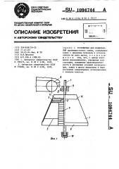 Устройство для измельчения (патент 1094744)