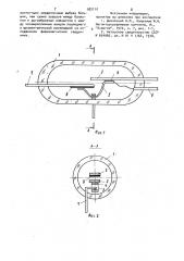 Магнитоуправляемый контакт (патент 982110)