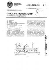 Устройство для высева семян в ленте (патент 1230493)