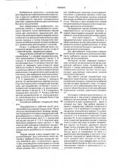 Рабочий орган для уплотнения балласта выправочно- подбивочной машины (патент 1802025)