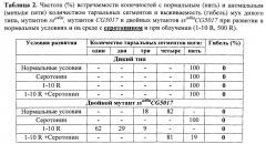 Способ оценки фармакологических и токсикологических свойств веществ - радио-, токсикопротекторов и радио-, токсикосенсибилизаторов (патент 2534822)