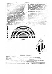 Зонная пластина (патент 1596417)