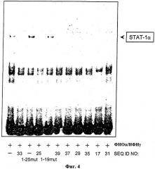 Ингибирование stat-1 (патент 2311910)
