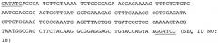 Применение пептида ggf2 в лечении или профилактике сердечной недостаточности у млекопитающего (патент 2536938)
