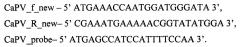 Олигонуклеотидные праймеры и флуоресцентно-меченый зонд, способ и тест-система пцр в режиме реального времени для выявления генома каприпоксвирусов (патент 2658493)