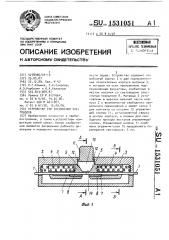 Устройство для соединения световодов (патент 1531051)