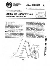 Устройство для строительства дренажа (патент 1020509)