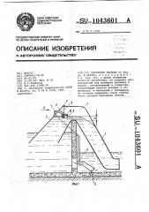 Регулятор расхода (патент 1043601)