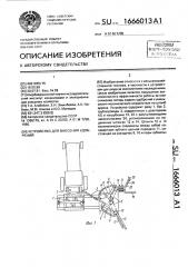 Устройство для внесения удобрений (патент 1666013)