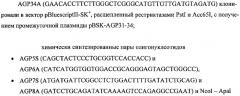 Ген agрopt ангиопоэтина-1 (патент 2385938)