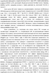 Антитела, связывающиеся с рецепторами kir2dl1,-2,-3 и не связывающиеся с рецептором kir2ds4, и их терапевтическое применение (патент 2410396)