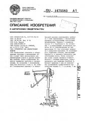 Устройство для демонстрации ковров (патент 1475583)