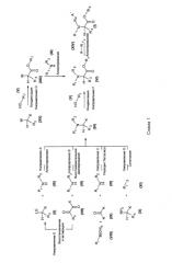 Производные сложного аминоэфира алкалоида и их лекарственные композиции (патент 2567548)