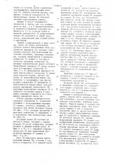 Направляющая струга с цепным приводом (патент 1119611)