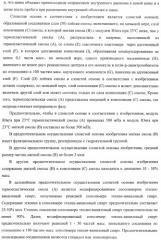 Слоистая основа и способ ее изготовления, а также внутренняя оболочка пневматической шины и пневматическая шина (патент 2406617)