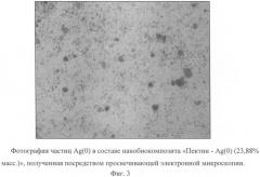 Способ получения пектина из коры лиственницы, обладающего мембраностабилизирующей активностью и способностью восстанавливать ионы серебра, нанобиокомпозиты серебра, стабилизированные пектином (патент 2403263)