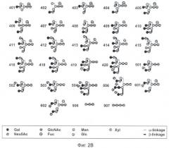 Способ обнаружения сахарных цепей с glcnac, синтезированных gnt-v (патент 2442989)