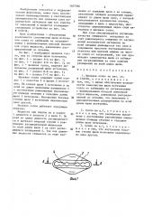 Щелевое сопло (патент 1407566)