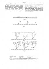 Способ формирования маточно-черенкового сада по системе унгуряна (патент 1618337)