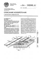 Конструкция трамвайного переезда (патент 1595985)